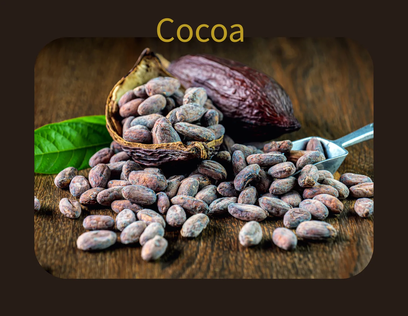 Cacao pods and beans